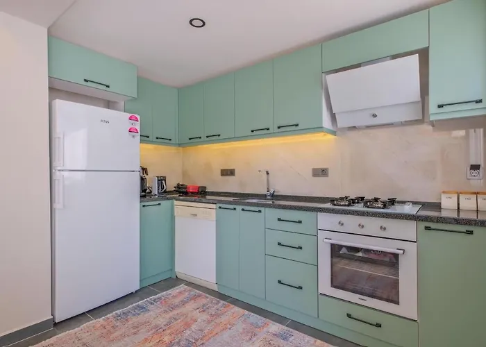 Aslan 2 Vilă Fethiye